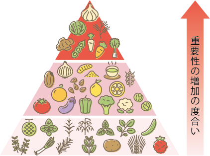 デザイナーフーズ・プロジェクトピラミッド図