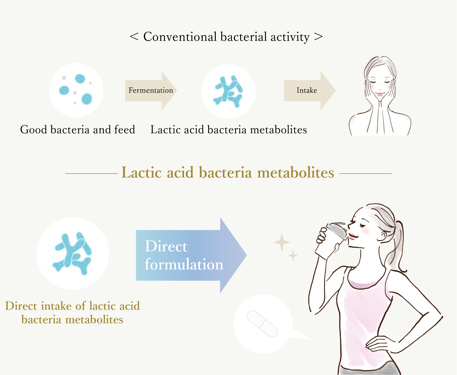 Lactic acid bacteria metabolites image