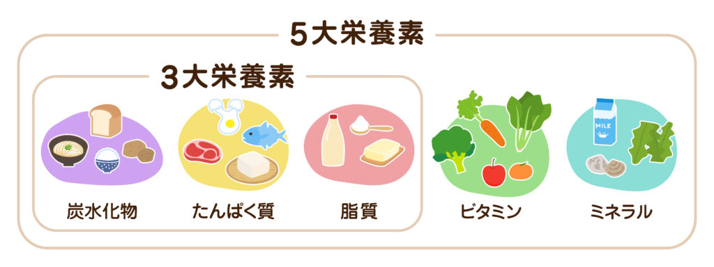 3大栄養素と5大栄養素のイメージ